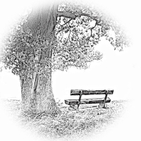 Baum mit Bank
